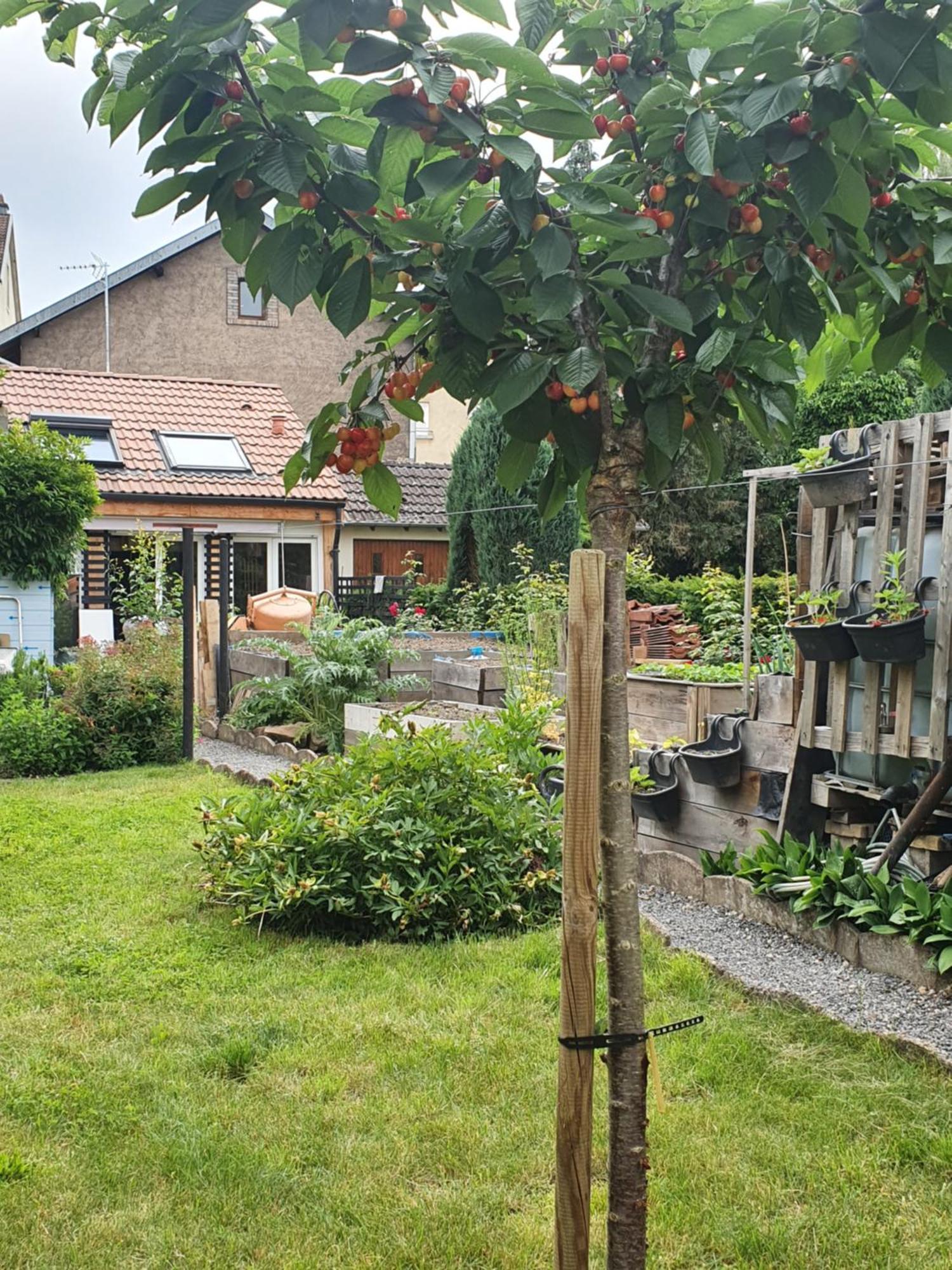 Charles Bed & Breakfast Thaon-les-Vosges Eksteriør bilde