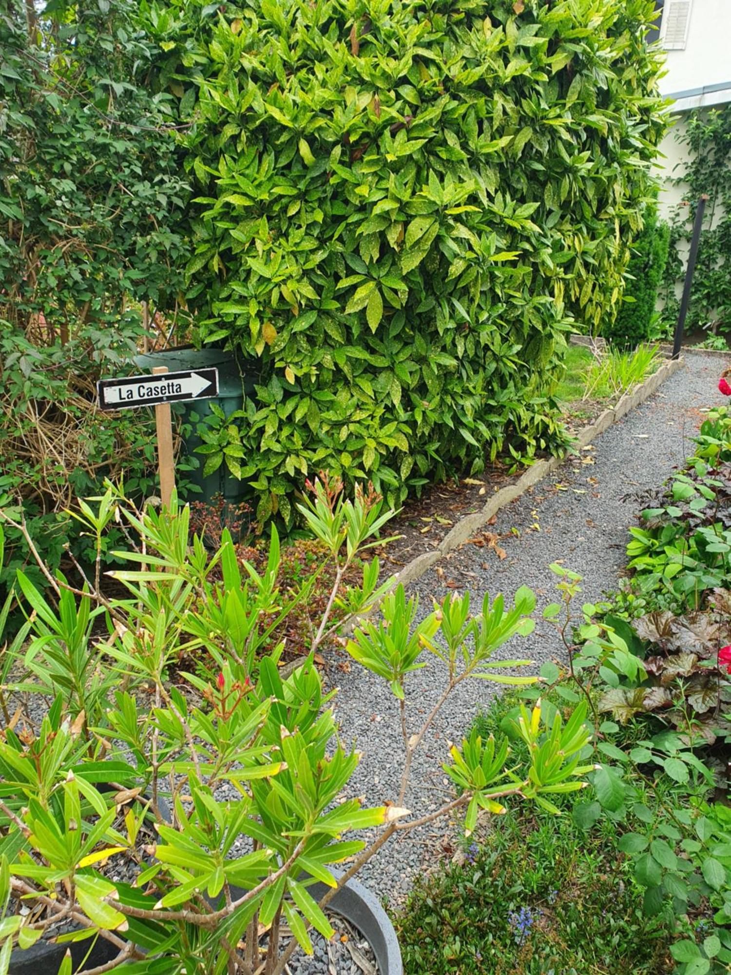 Charles Bed & Breakfast Thaon-les-Vosges Eksteriør bilde